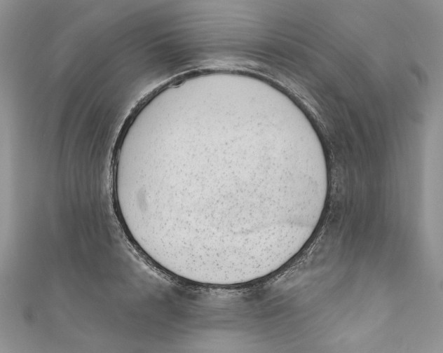 X0000110880848200907021455