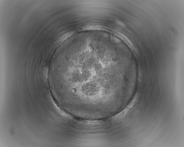 X0000110880849200907021455