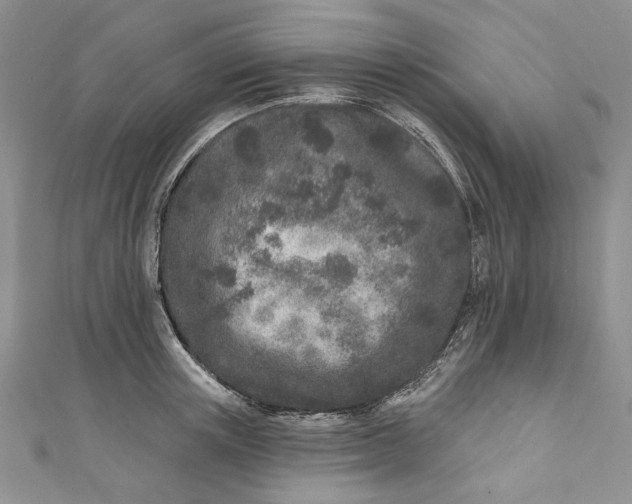 X0000110880851200907021455