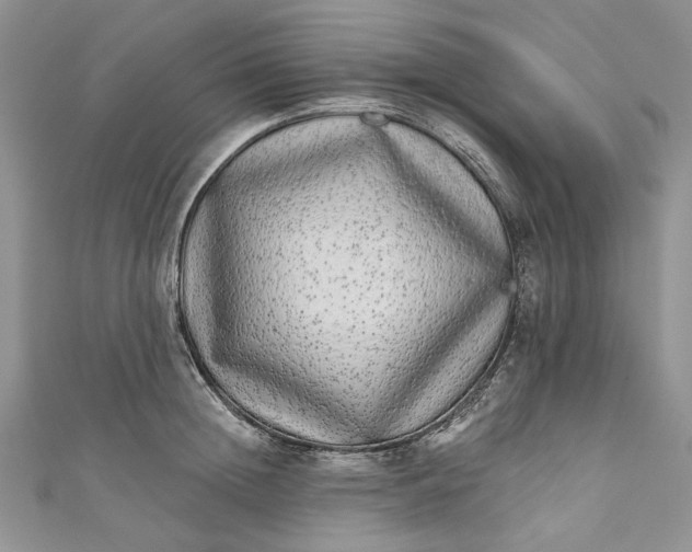 X0000110880852200907021455