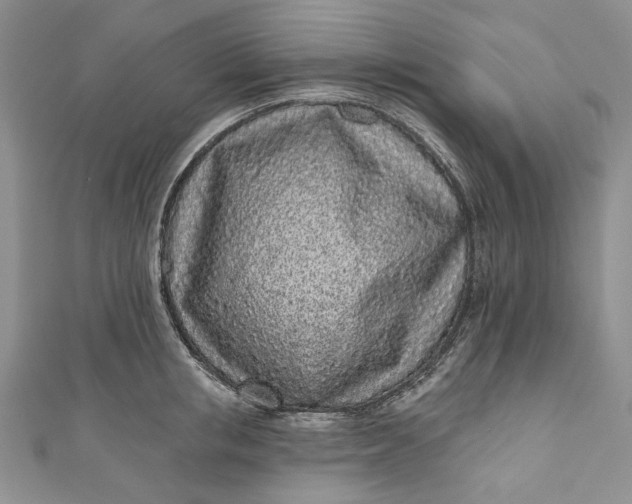 X0000110880853200907021455