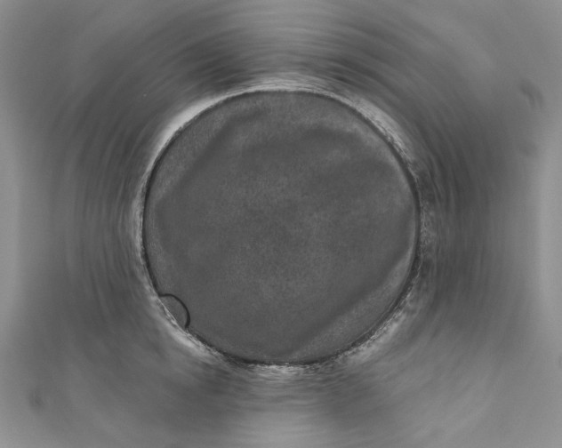 X0000110880854200907021455