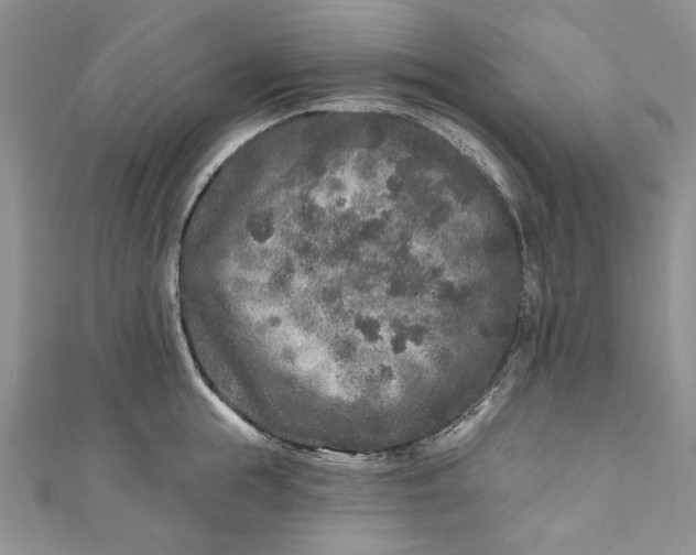 X0000110880855200907021455