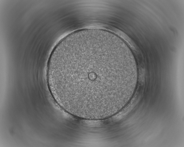 X0000110880856200907021455