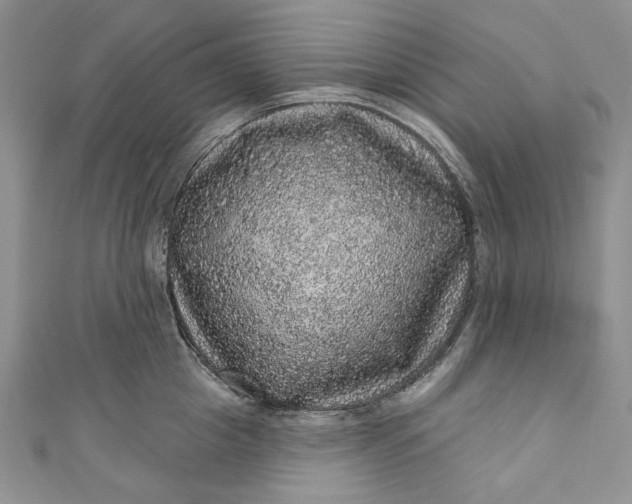 X0000110880857200907021455