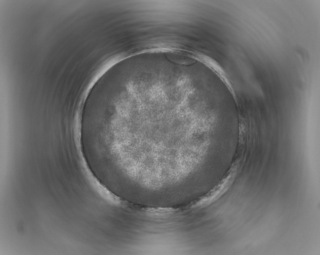 X0000110880859200907021455