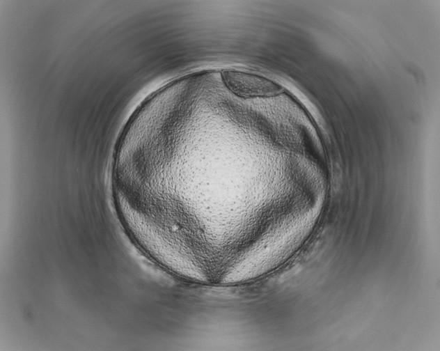 X0000110880861200907021455