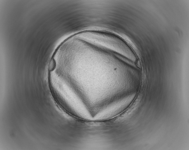 X0000110880862200907021455