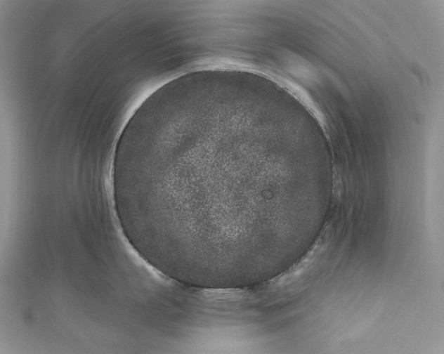 X0000110880863200907021455