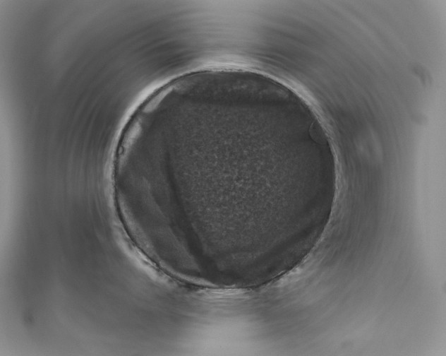 X0000110880864200907021455