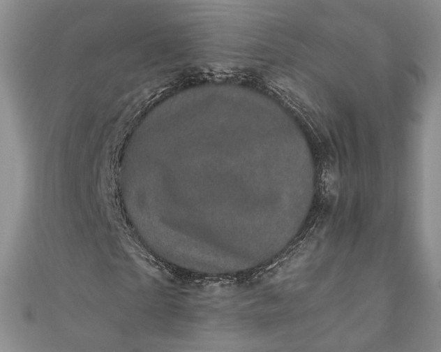 X0000110880865200907021455