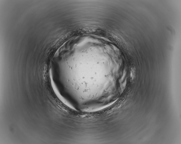 X0000110880867200907021455