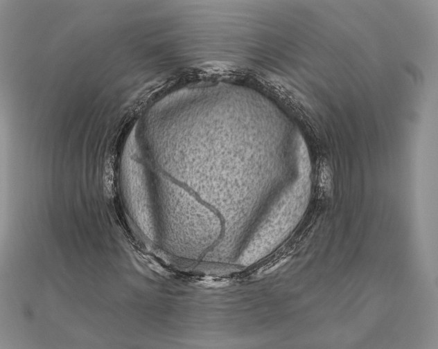 X0000110880868200907021455