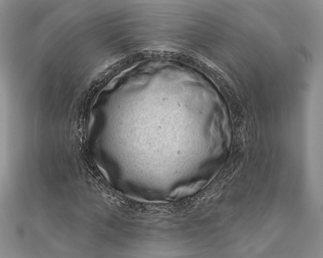 X0000110880870200907021455