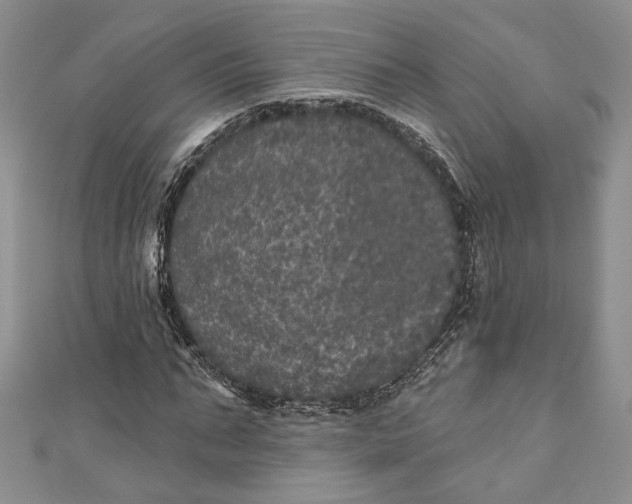 X0000110880871200907021455