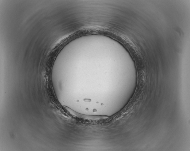 X0000110880872200907021455