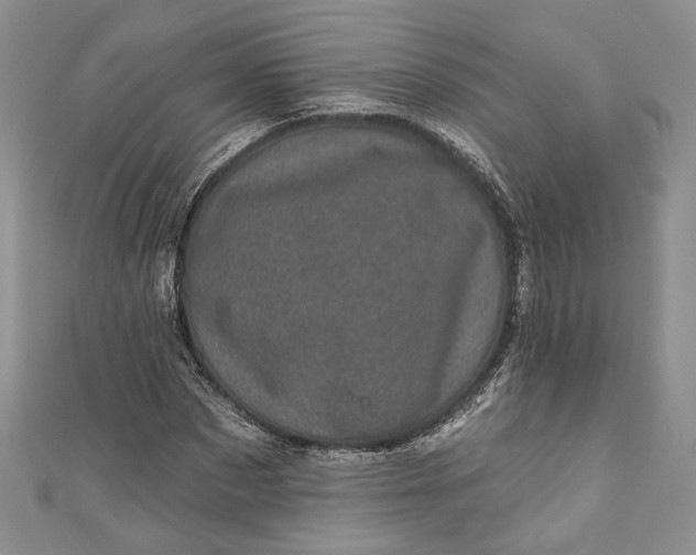 X0000110880873200907021455