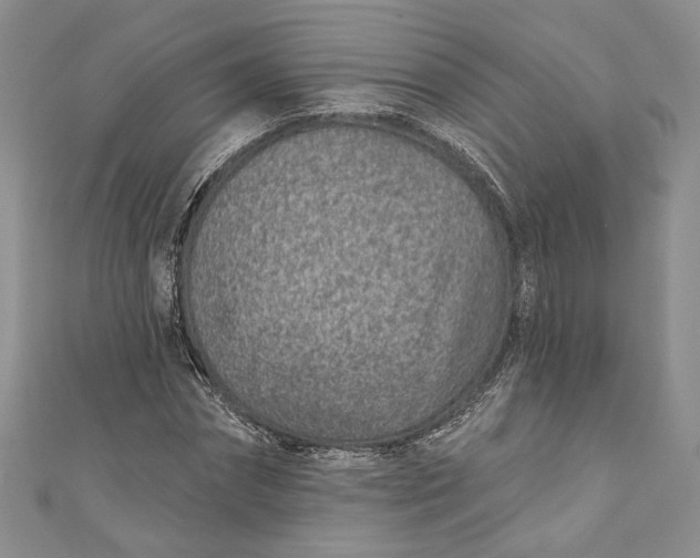 X0000110880874200907021455