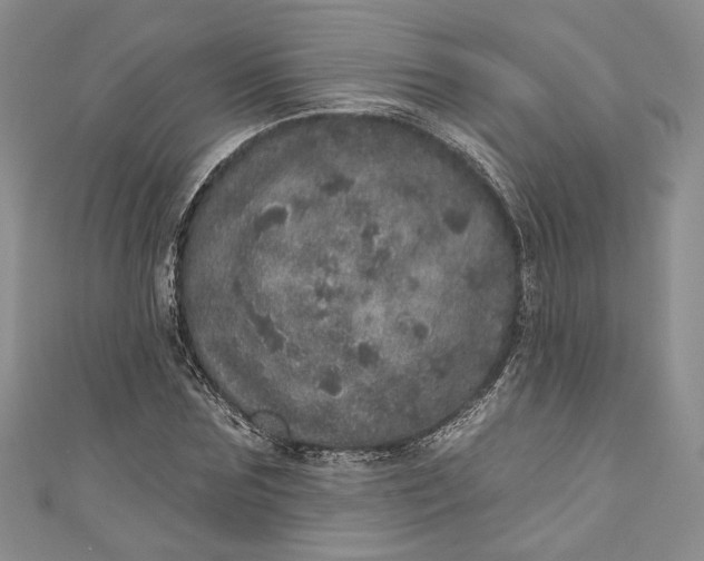 X0000110880875200907021455