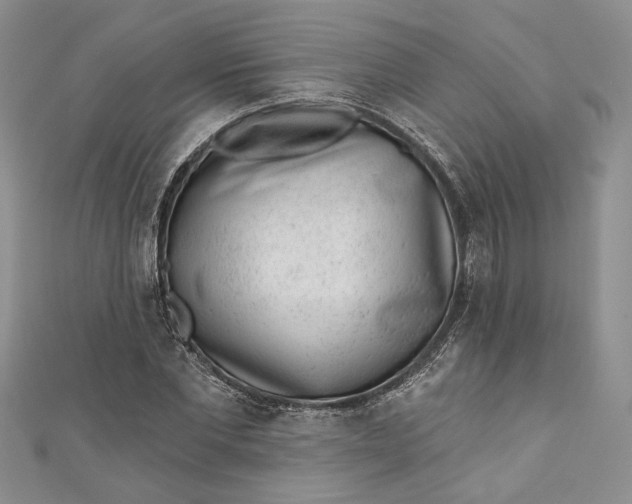 X0000110880877200907021455