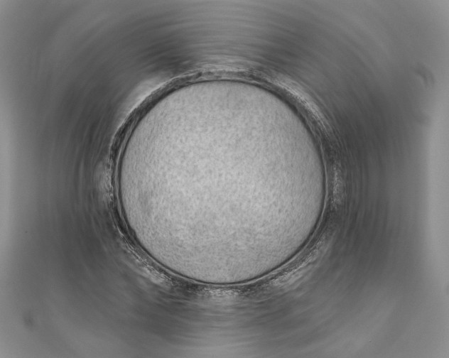 X0000110880878200907021455