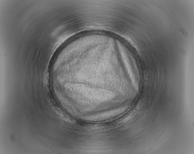 X0000110880879200907021455