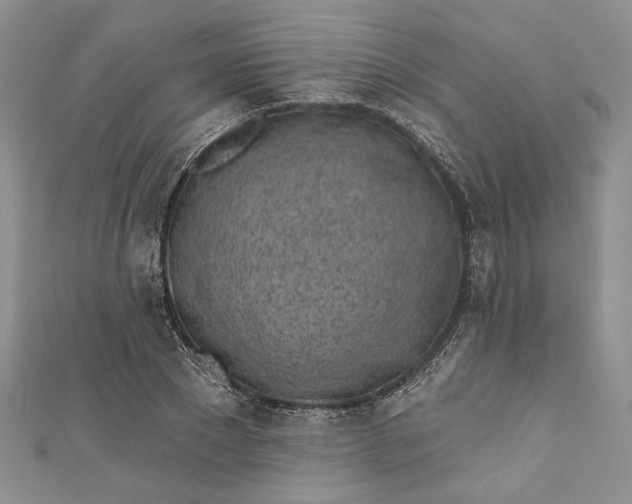 X0000110880881200907021455