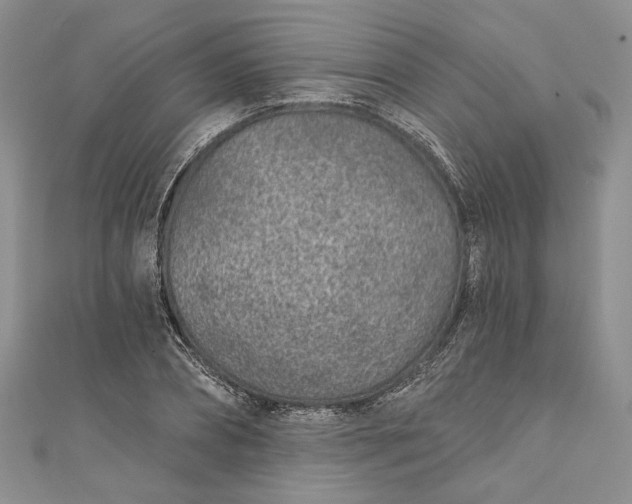 X0000110880882200907021455