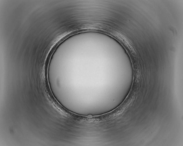 X0000110880884200907021455