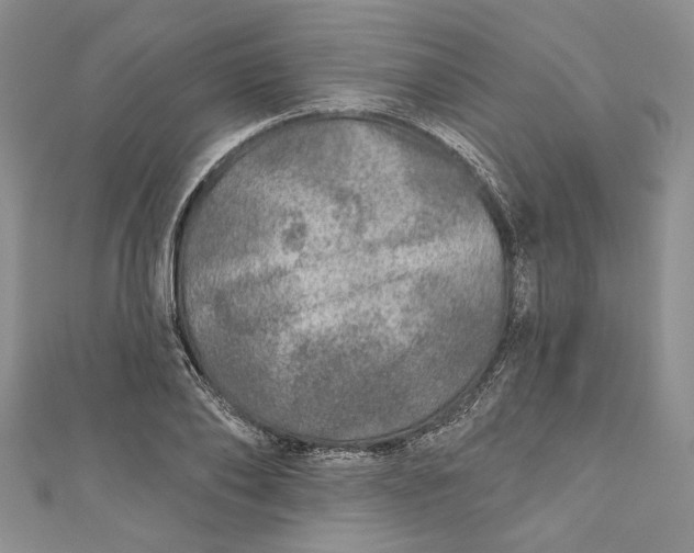 X0000110880886200907021455