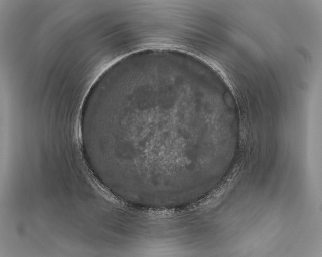 X0000110880887200907021455