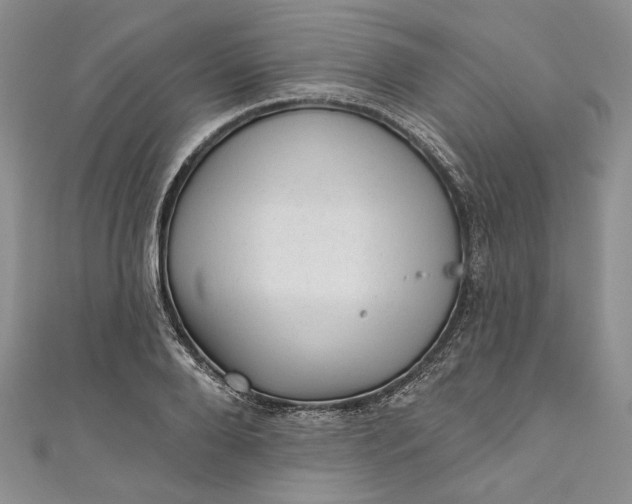 X0000110880888200907021455