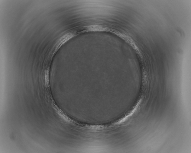 X0000110880889200907021454