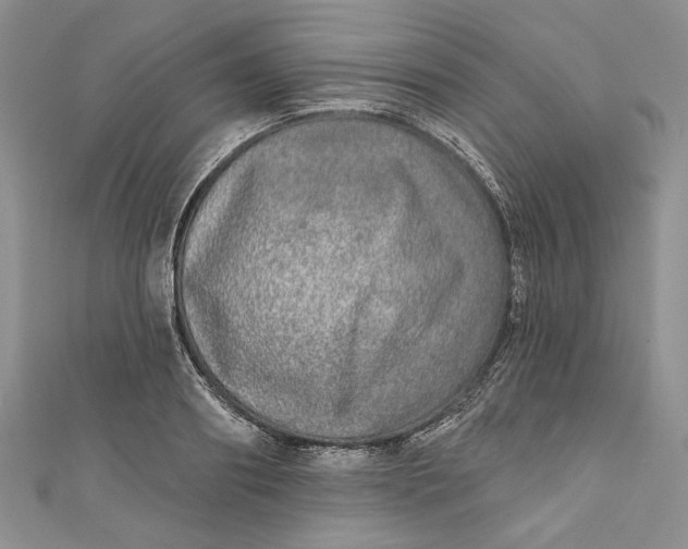 X0000110880890200907021454
