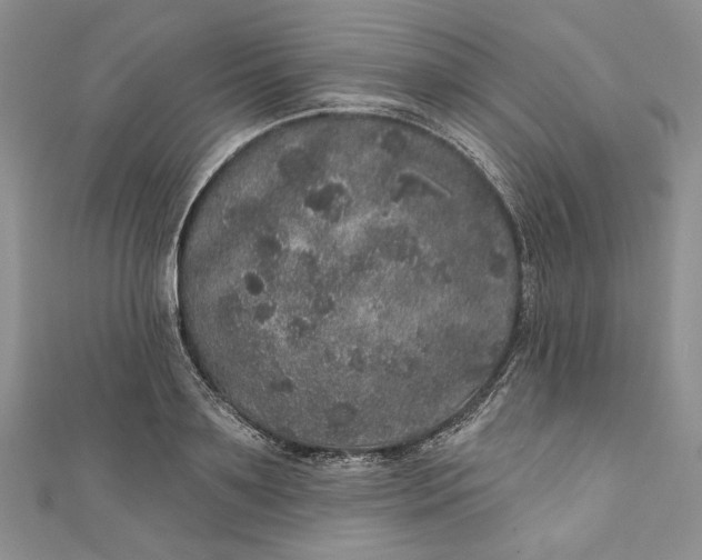 X0000110880891200907021454