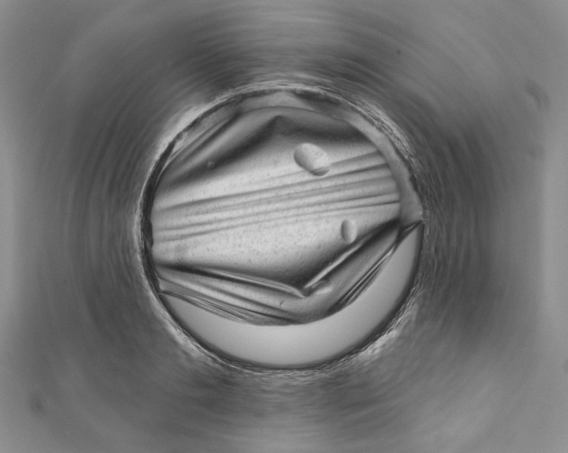 X0000110880893200907021454