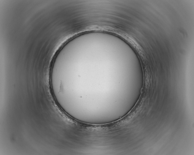 X0000110880896200907021454