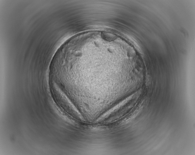 X0000110880899200907021454