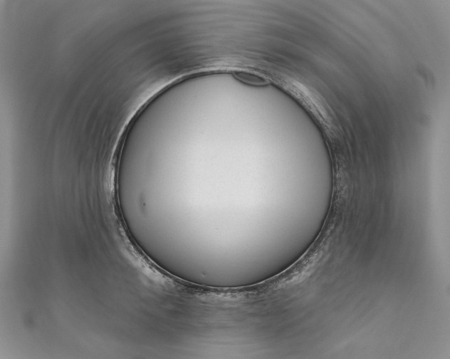 X0000110880900200907021454