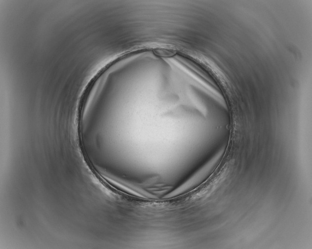 X0000110880902200907021454