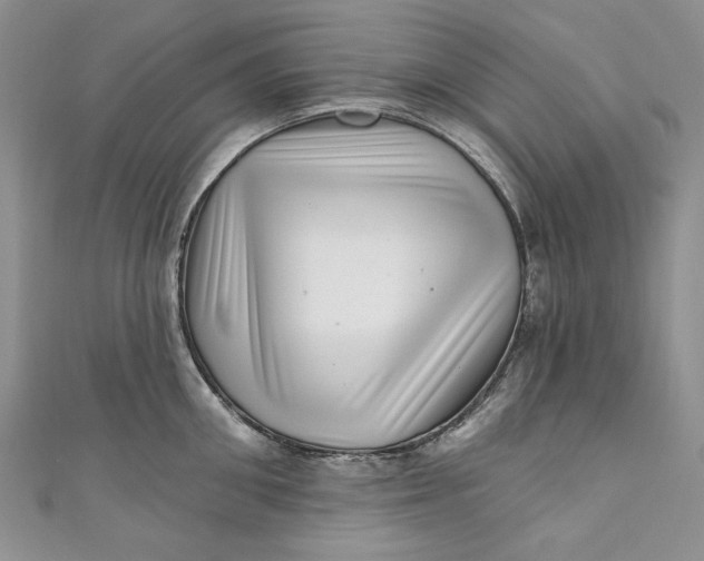 X0000110880906200907021454