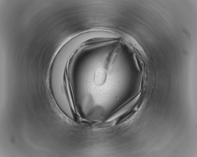 X0000110880908200907021454