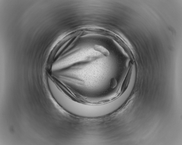 X0000110880909200907021454