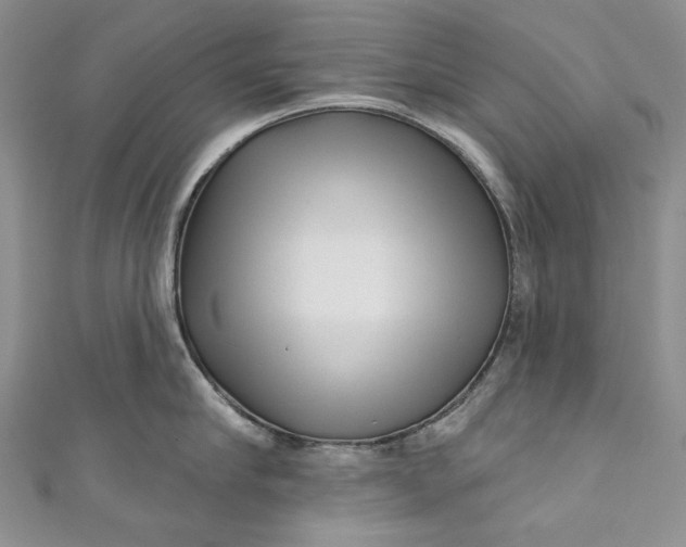 X0000110880910200907021454