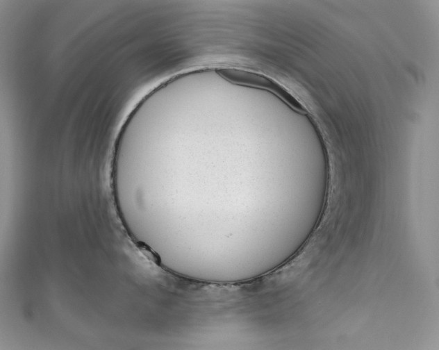 X0000110880912200907021454