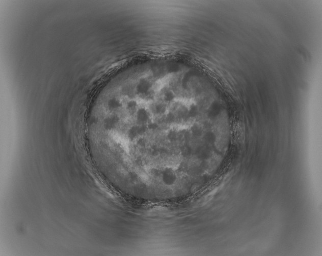 X0000110880913200907021454