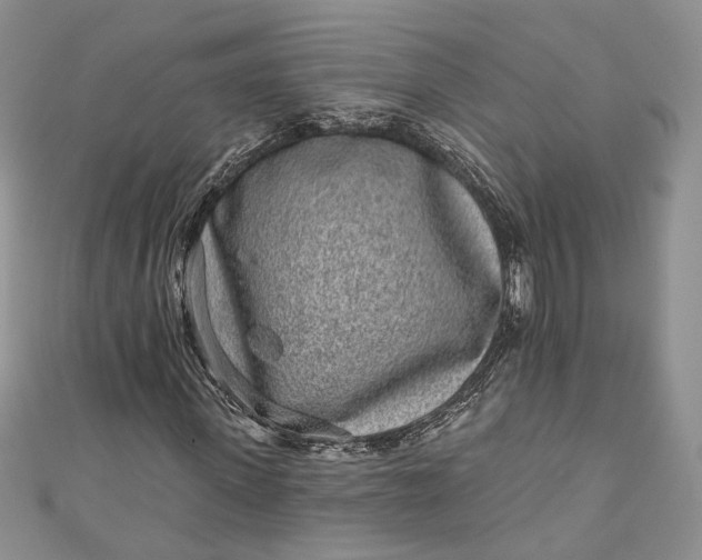 X0000110880915200907021454