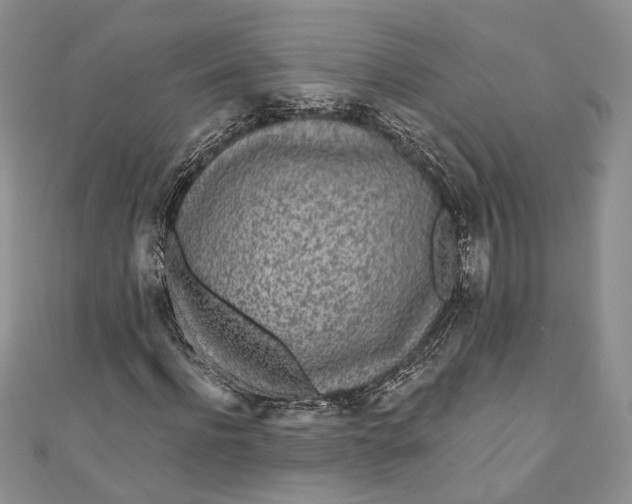 X0000110880916200907021454