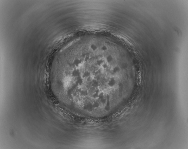 X0000110880917200907021454