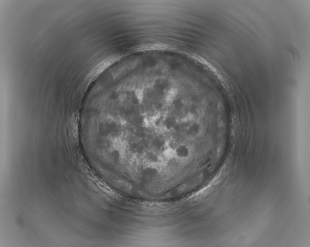 X0000110880921200907021454